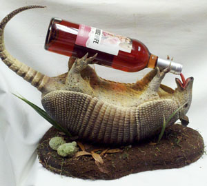 Armadillo Drinking Wine