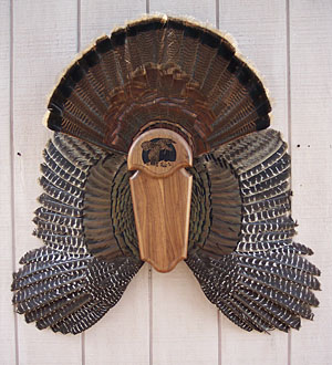 Board with Tail and Wings