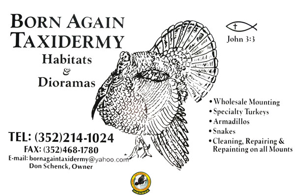 Born Again Taxidermy Logo