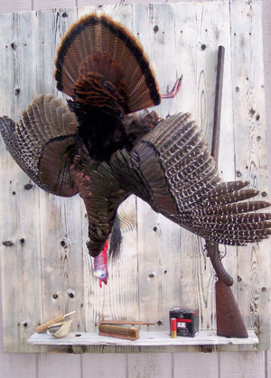 Dead Turkey Mount with Customer's props