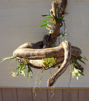 10 ft. 2 in. Rock Python Snake on Branch